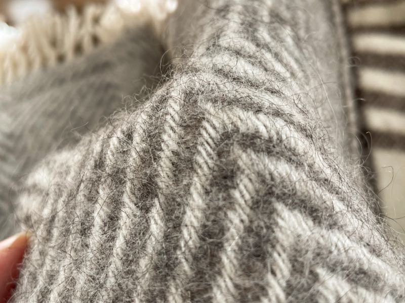 エコラのスローケットの写真