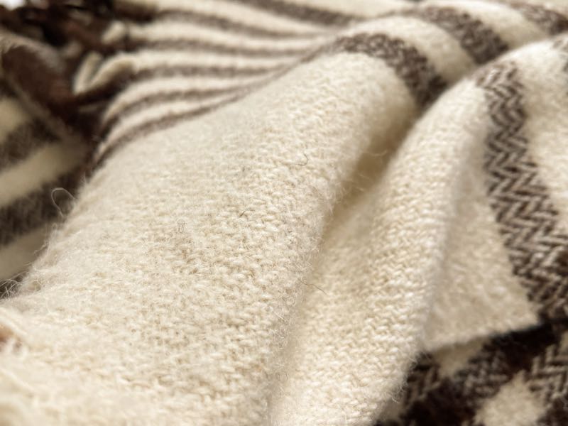 エコラのスローケットの写真