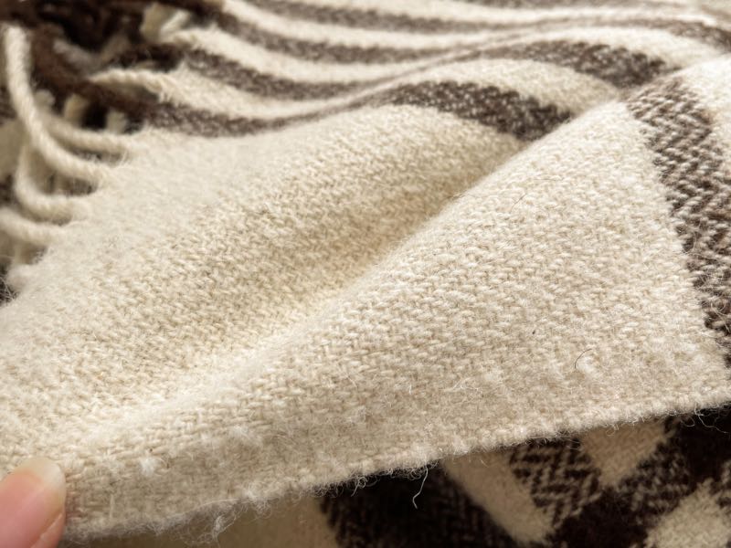 エコラのスローケットの写真