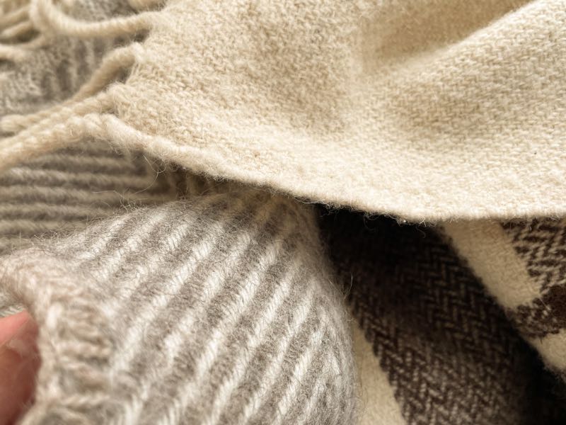 エコラのスローケットの写真