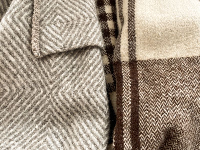 エコラのスローケットの写真