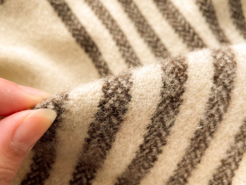 エコラのスローケットの写真