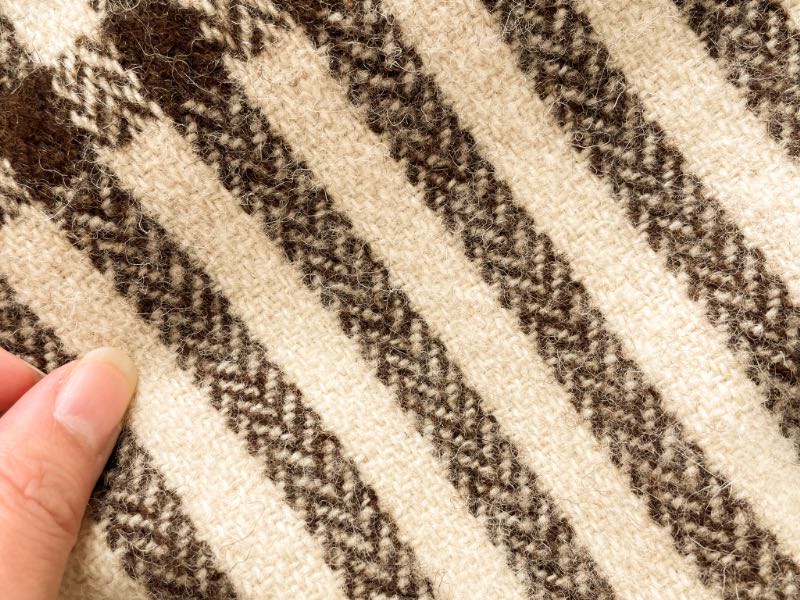 エコラのスローケットの写真