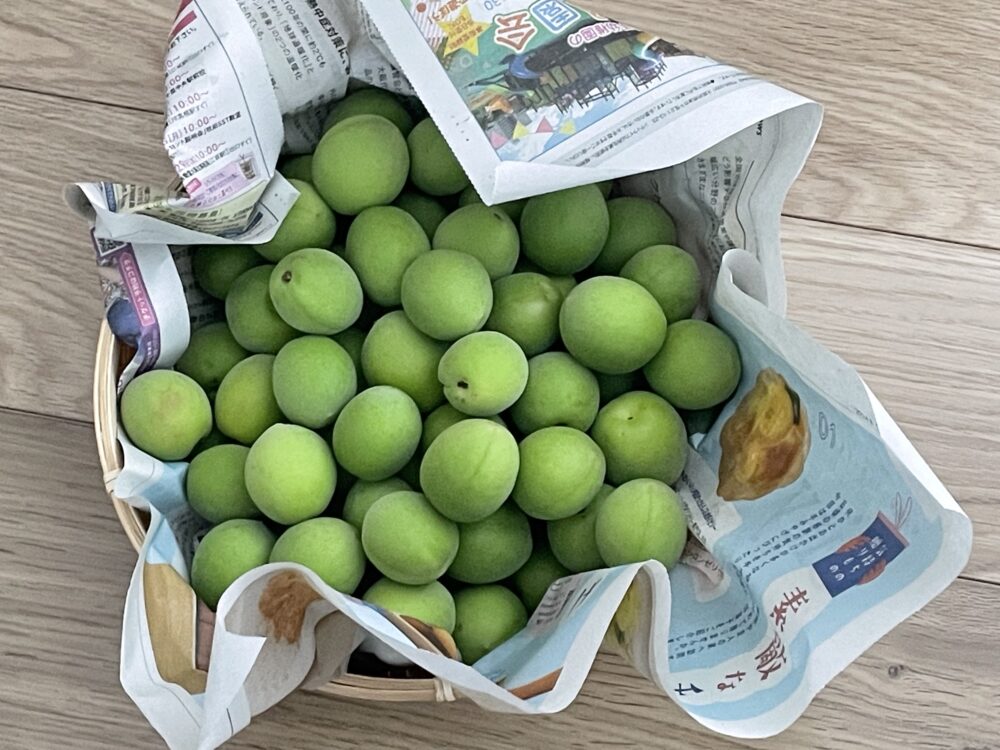 食べチョクで注文した青梅の写真
